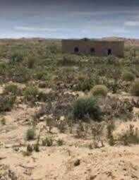 561 Hwy 116, Bosque, NM 87006