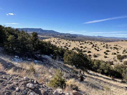 Pinon Springs lot: 129, Magdalena, NM 87825