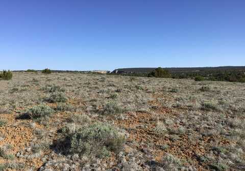 Lot 106 Ranch Drive, Ramah, NM 87321