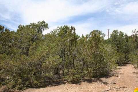 Olympio Lane, Tijeras, NM 87059