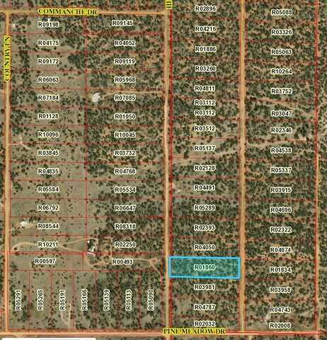 Lot 575 Betty Lane, Ramah, NM 87321