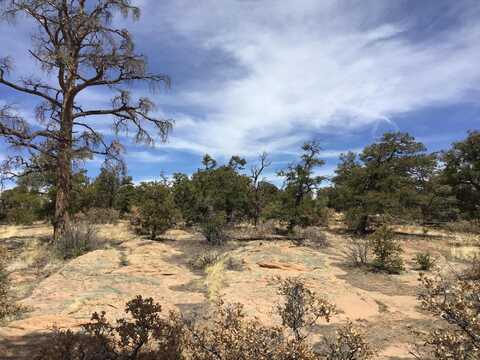 Lot 696 Gabe Road, Ramah, NM 87321