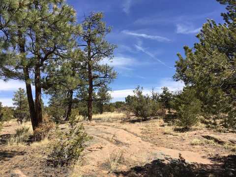 Lot 636 Edgewood Drive, Ramah, NM 87321