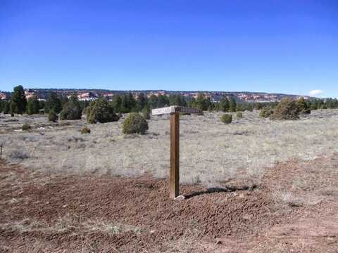 Lot 10 Sagebrush Road, Ramah, NM 87321