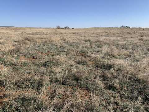 W Ice Plant Road, McIntosh, NM 87032