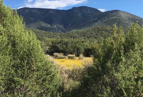 39.33 Patterson Canyon, Magdalena, NM 87825