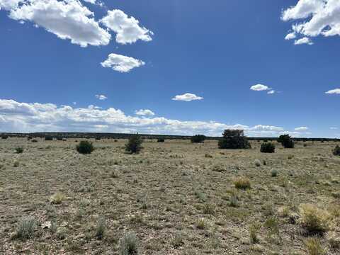 15 Bronco Lane, Quemado, NM 87829