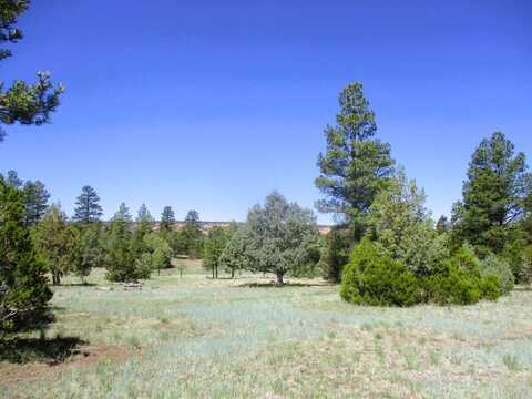 Cuervo/Juniper, Ramah, NM 87321