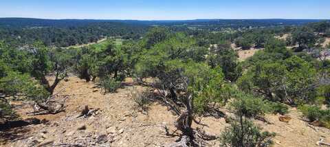 Lot 7 Coyote Canyon Road, Ramah, NM 87321