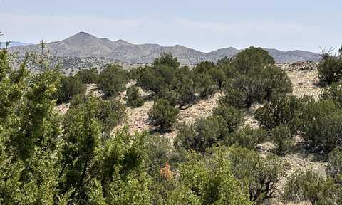 Lot 13 Abbe Springs Ranches, Magdalena, NM 87825