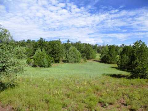 Lots 5 & 6 Black Bear Road, Ramah, NM 87321