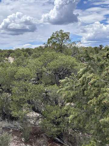 Abbe Spings lot: 43, Magdalena, NM 87825