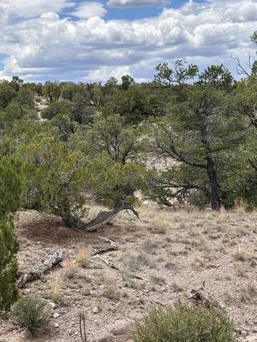 Lot 43 Abbe Spings, Magdalena, NM 87825