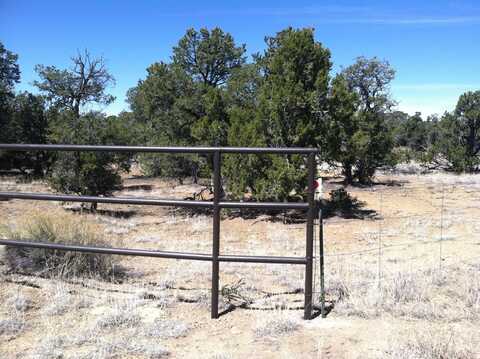 U4 Lot 56 Wild Horse Ranch, Pie Town, NM 87827