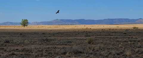 Rio Del Oro Loop N, Los Lunas, NM 87031