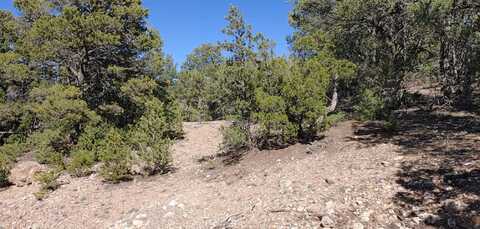 Lakeview Place, Sandia Park, NM 87047