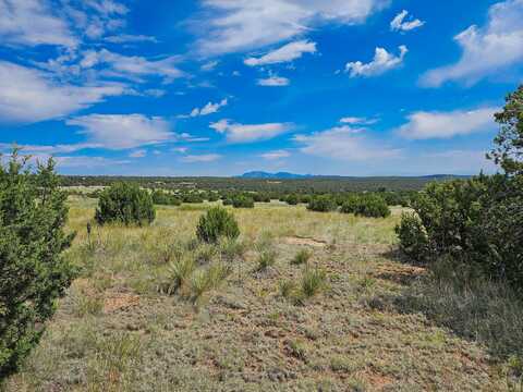 289 Gonzales Road, Edgewood, NM 87015