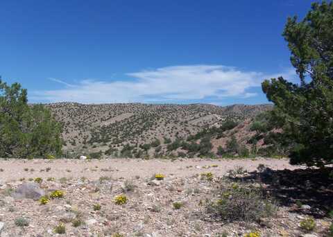 54 Camino De Las Brisas, Placitas, NM 87043