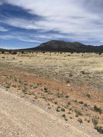 19 Araiza Road Road, Edgewood, NM 87015