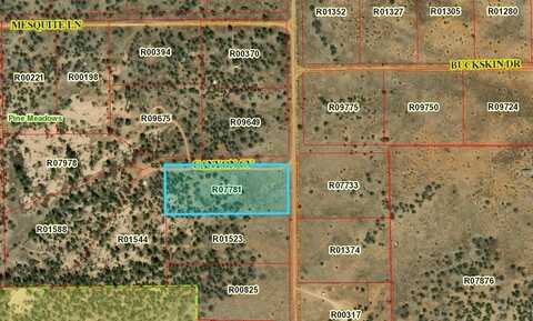 Lot 202 Canyon Cove, Ramah, NM 87321