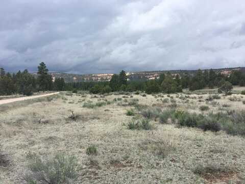 Lot 2 East Elk Road, Ramah, NM 87321