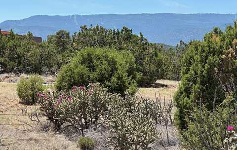 29 Via Entrada, Sandia Park, NM 87047