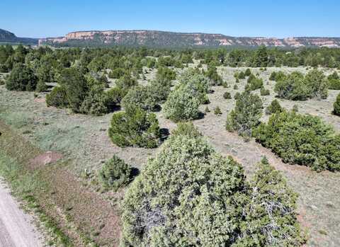 Lot 15 Buttonwood Drive, Ramah, NM 87321