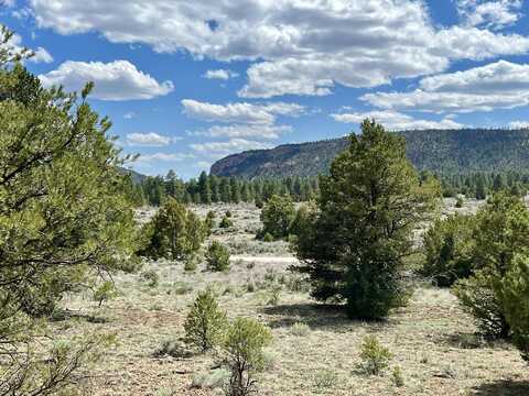 Lot 5 Sagebrush Road, Ramah, NM 87321