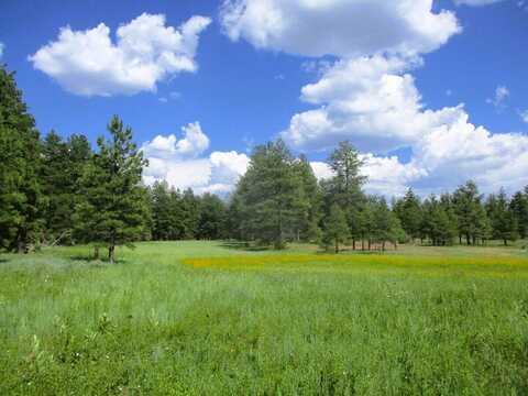 Forest Road 157, Ramah, NM 87321