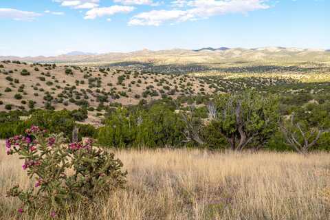 123 Ridge View Road, Magdalena, NM 87825