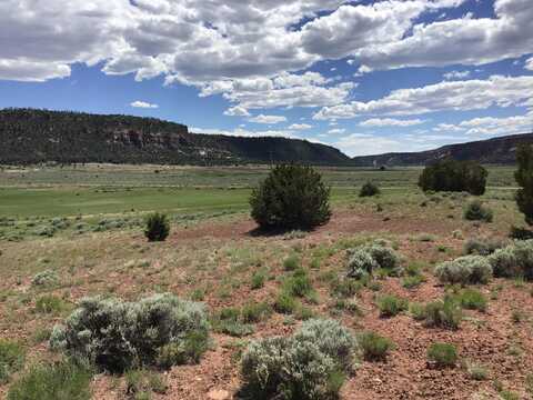 Lot D Timberlake Road, Ramah, NM 87321