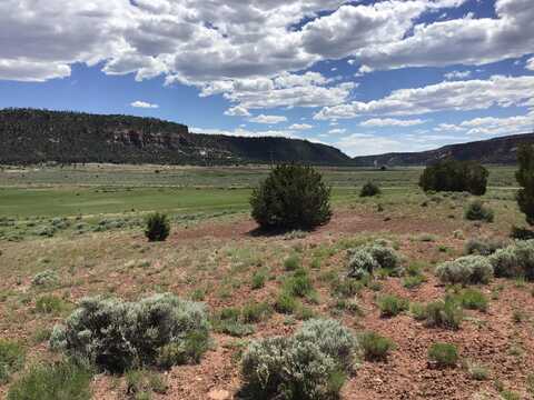 Timberlake Road lot: D, Ramah, NM 87321