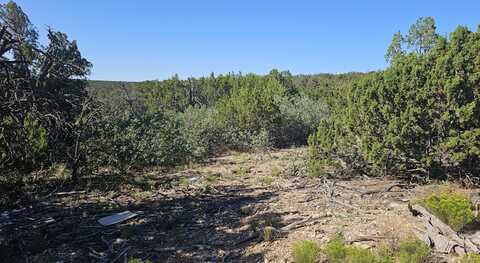 Cross Road, Edgewood, NM 87015