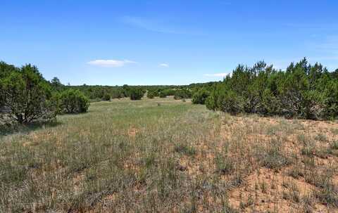 20, 30, 32, 34 And 38 Griffin Road, Tijeras, NM 87059