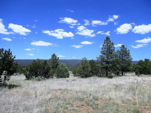 Lot 8 Sunrise Way, Ramah, NM 87321