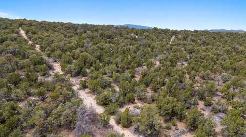 92 Bella Vista Road, Edgewood, NM 87015