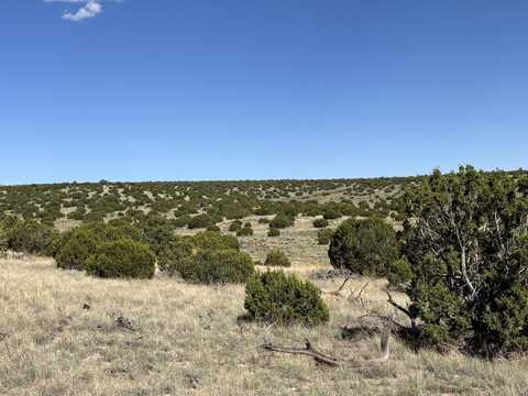 Lot 43 Pinon Springs Ranches, Magdalena, NM 87825