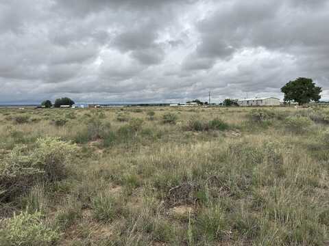 Lot 43 Valle Verde, McIntosh, NM 87032