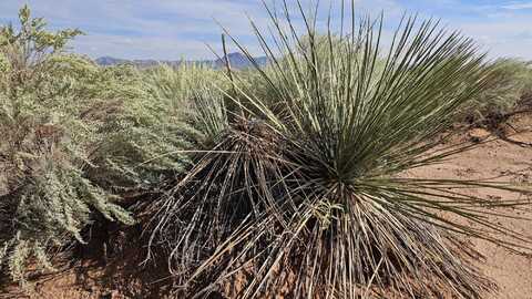 Vl Tierra Grande Lot 4 Block 11, Socorro, NM 87801