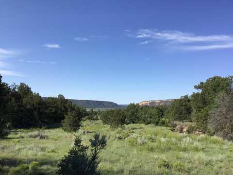 Lots 15-16 Woodland Drive, Ramah, NM 87321