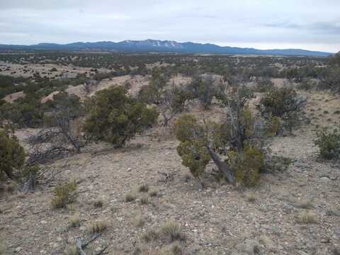 Tract 6 Bridle Path Loop, Mountainair, NM 87036