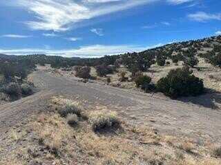 Na Lots 117 118 119 Abbe Springs, Magdalena, NM 87825