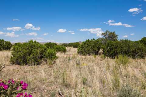 Lot 58 Pinon Springs Ranch, Magdalena, NM 87825