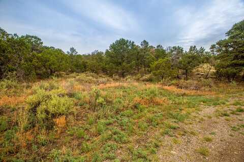 7 Vickie Ct Court, Sandia Park, NM 87047