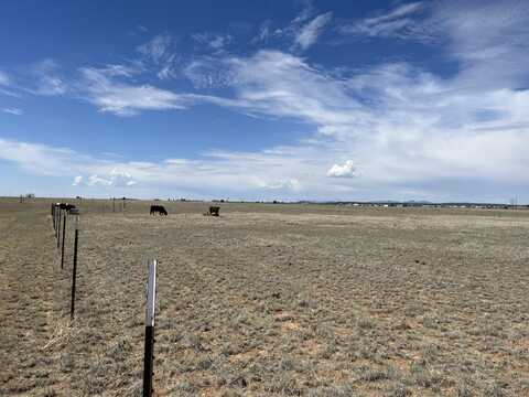 Destiny Drive, Moriarty, NM 87035