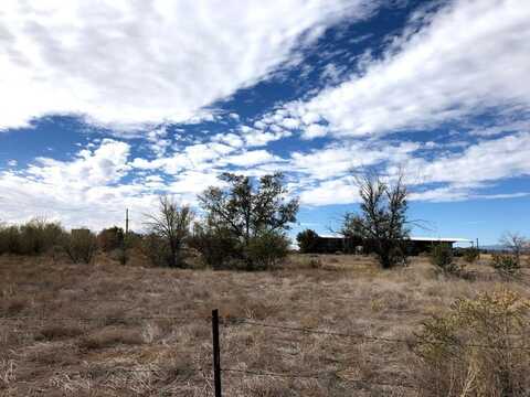 Colletti Drive (A), Moriarty, NM 87035