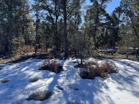 Chico Rd, Edgewood, NM 87015