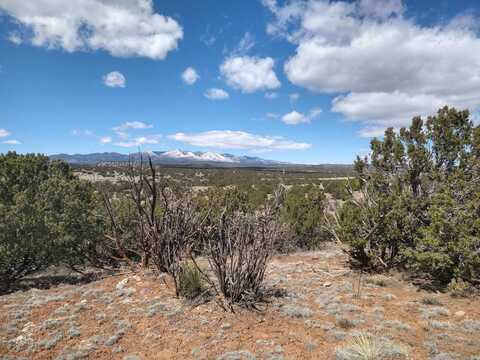 Rancho De Abo / Vineyard Ln Road, Mountainair, NM 87036