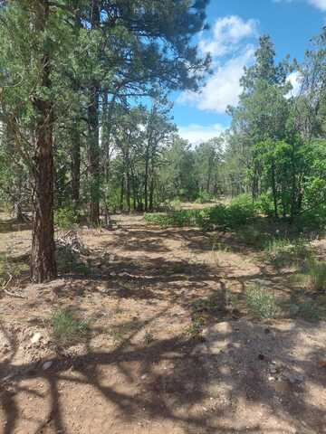 16 Secret Pines Court, Tijeras, NM 87059