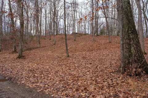 TBD HORSESHOE HOLLOW, GREENVILLE, VA 24440